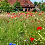 Scheunenloft Usedom-4, Grosszuegige Familienoase, Hunde-freundlich Mit Riesigem Garten Appartement