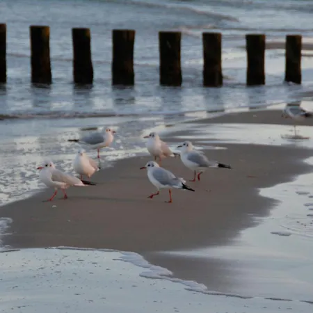 Scheunenloft Usedom -4- Familienoase Bis 15 Pax Spacious Big Garden Dog-friendly - Silyvi Homes Mellenthin