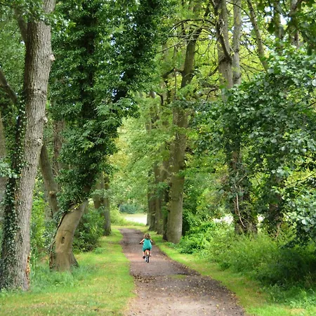 Apartment Scheunenloft Usedom -4- Familienoase Bis 15 Pax Spacious Big Garden Dog-friendly - Silyvi Homes *