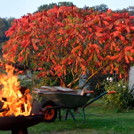 Scheunenloft Usedom -4- Familienoase Bis 15 Pax Spacious Big Garden Dog-friendly - Silyvi Homes