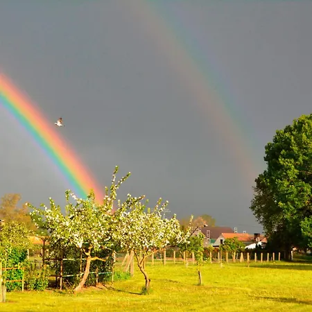 Scheunenloft Usedom-4, Grosszuegige Familienoase, Hunde-freundlich Mit Riesigem Garten *