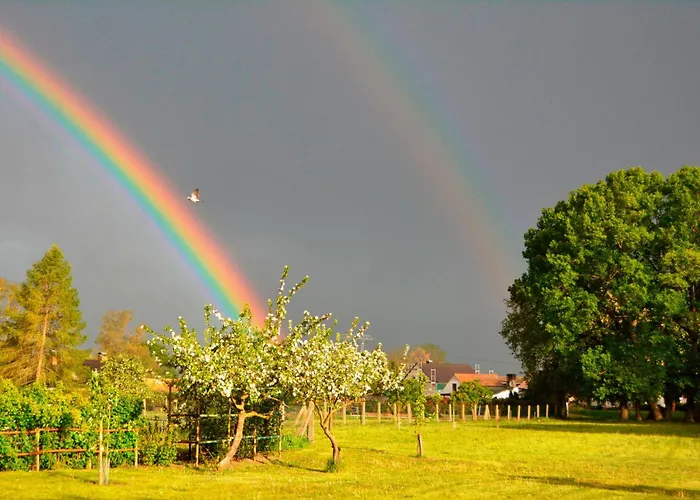Scheunenloft Usedom-4, Grosszuegige Familienoase, Hunde-freundlich Mit Riesigem Garten *