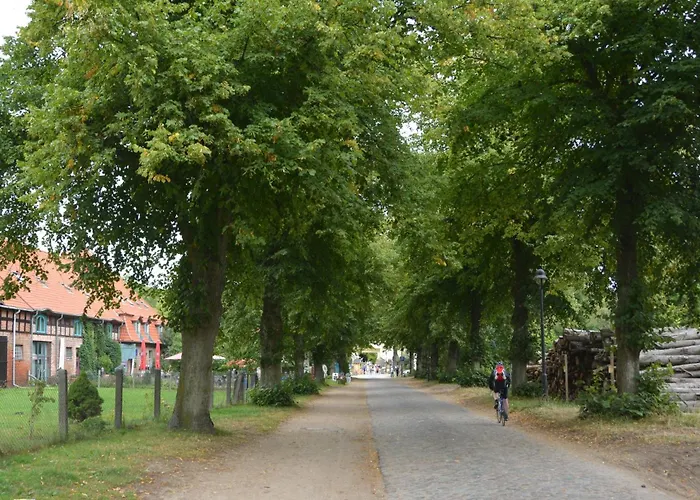 Scheunenloft Usedom-4, Grosszuegige Familienoase, Hunde-freundlich Mit Riesigem Garten Apartamento